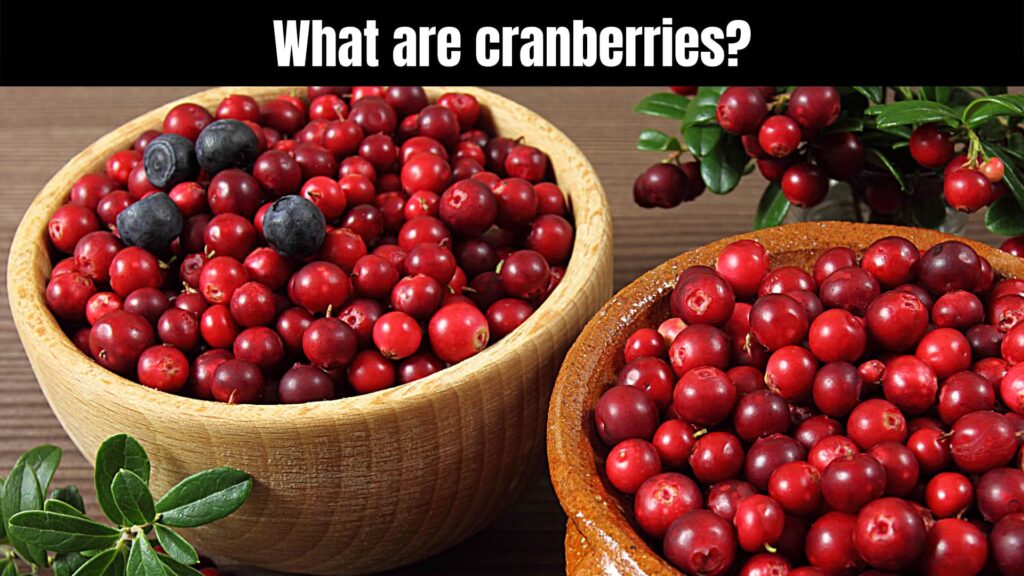 Eat Cranberries with Health Benefits