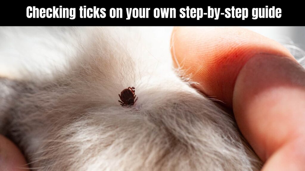 How To Check For Ticks 