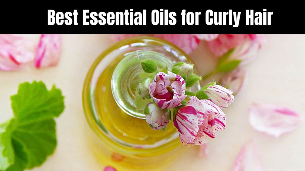 Best Essential Oils for Curly Hair