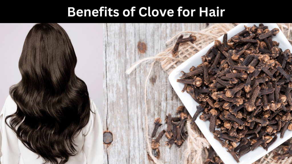 Benefits of Clove for Hair