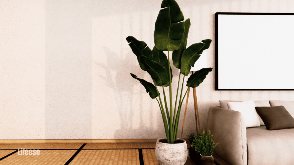 15 Best interior design styles