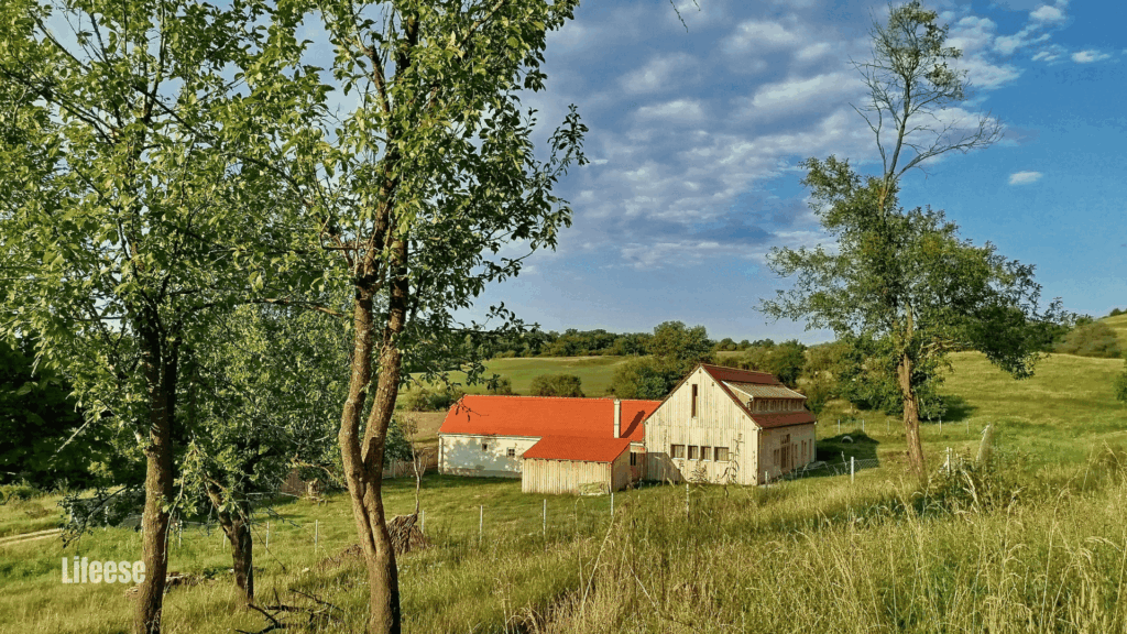 Modern farmhouse interior design