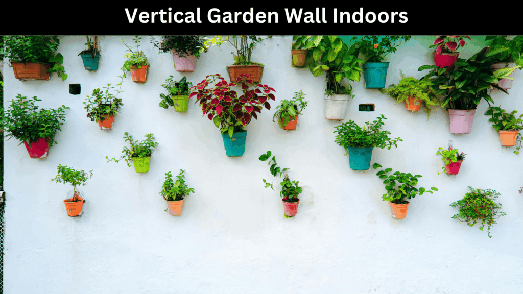 Vertical Garden Wall Indoors