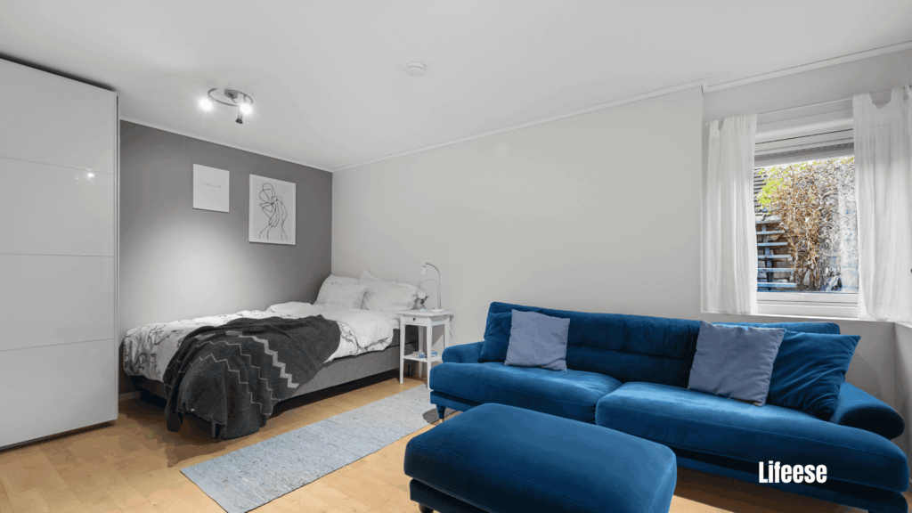 Convertible Sofa Bed Designs