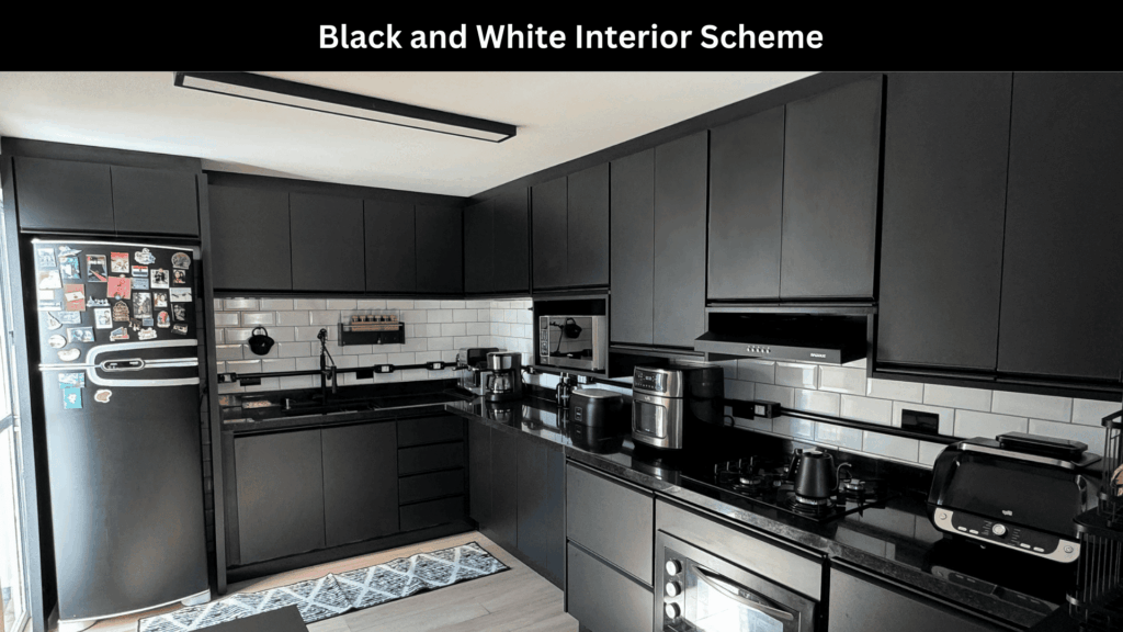 Black and White Interior Scheme