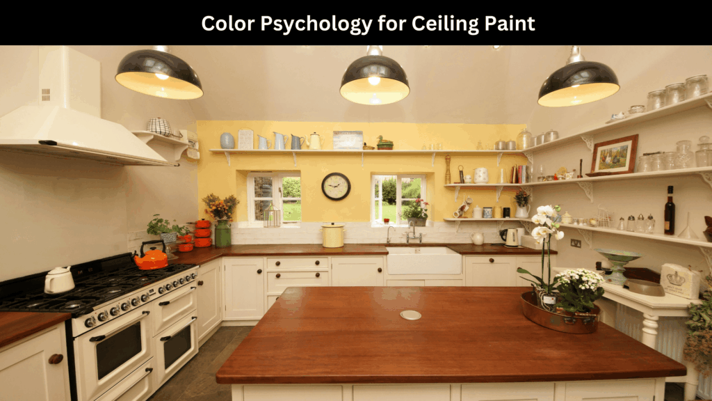 Accent Ceiling Paint Ideas