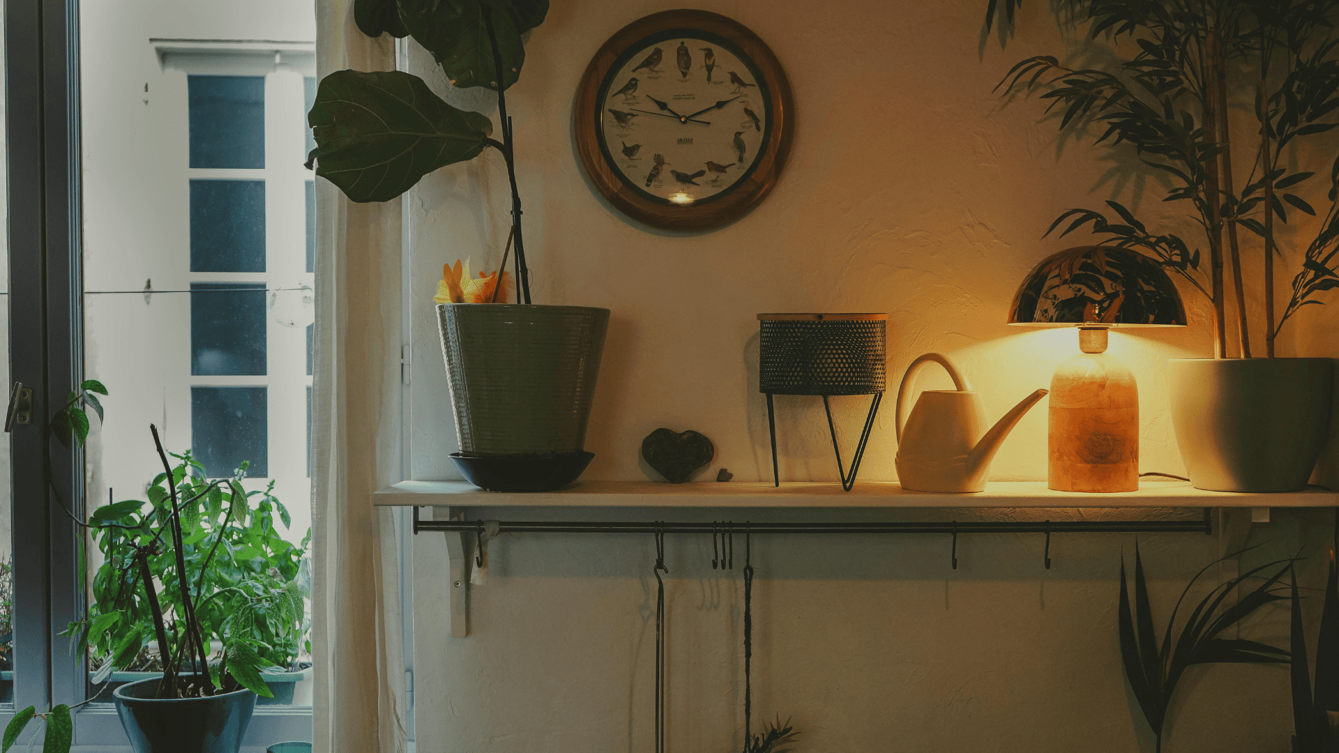 Indoor Plant Corner Styling