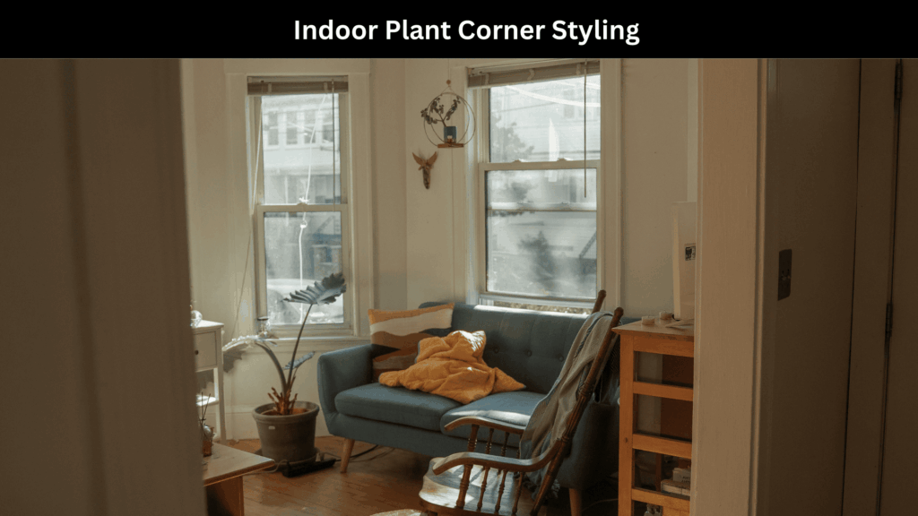 Indoor Plant Corner Styling