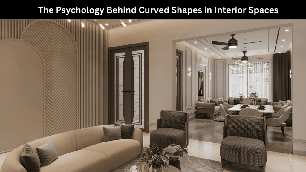 Curved Furniture Living Room