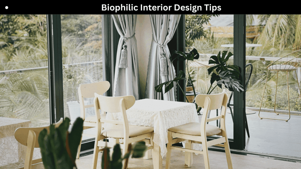 Biophilic Interior Design Tips