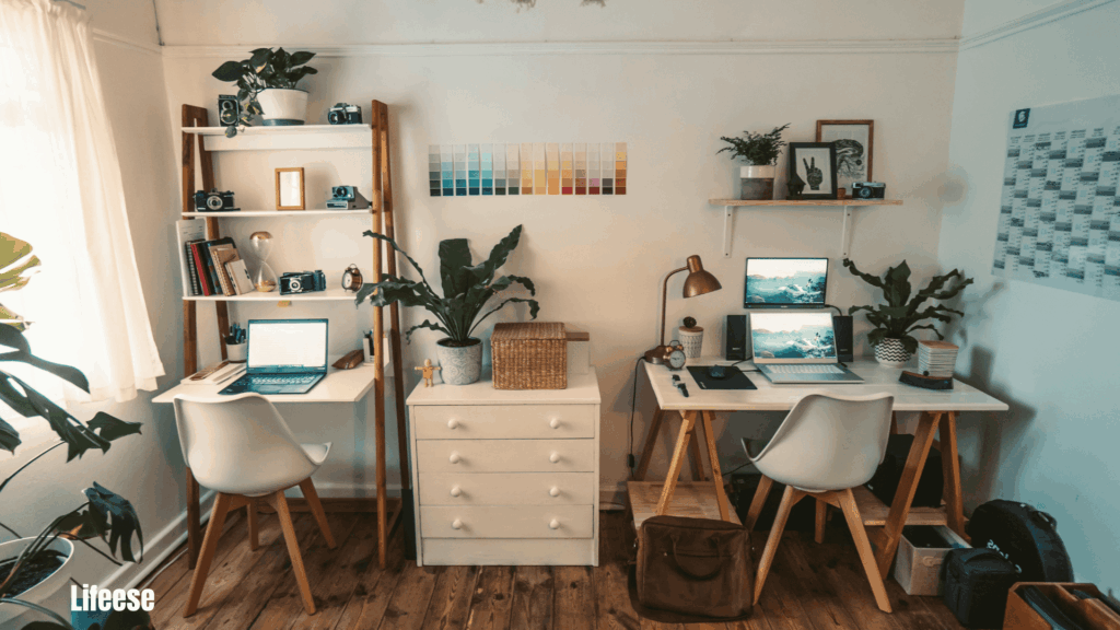 Biophilic Interior Design Tips