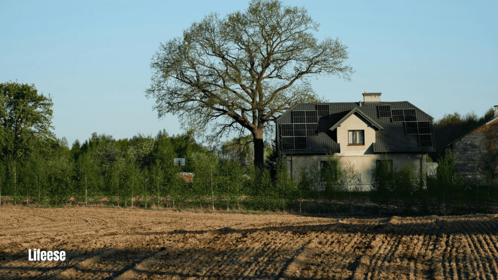 Eco-Friendly Home Finishes