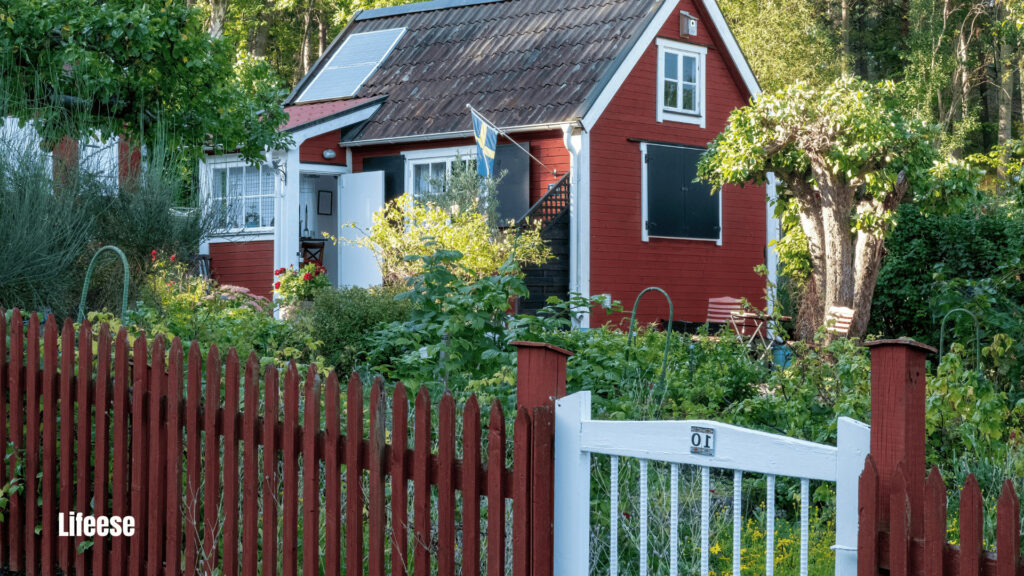 Eco-Friendly Home Finishes