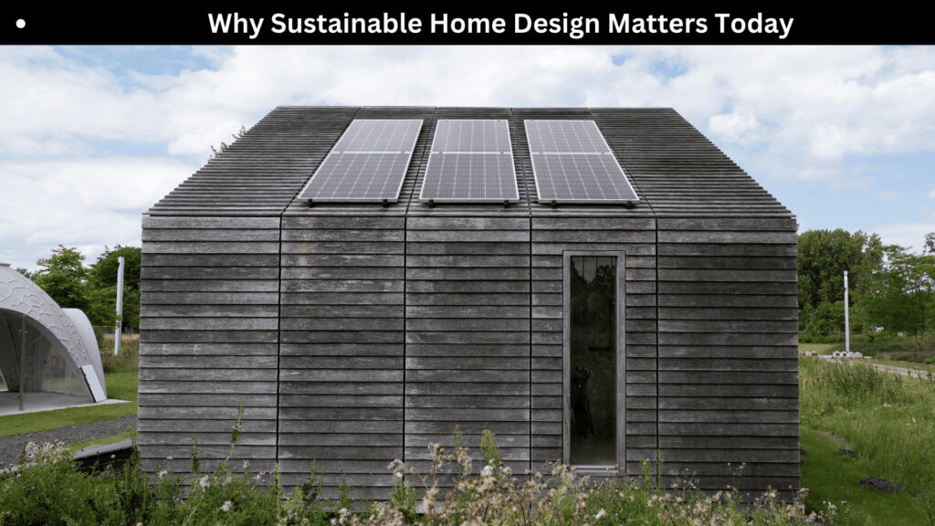 Eco-Friendly Home Finishes
